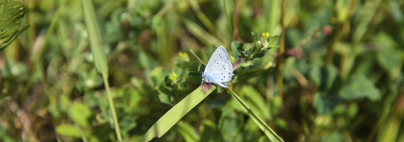 Kigro Zirkularitaet oekologische Aufwertung Intro Slider