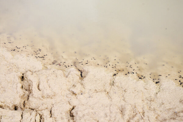 Kigro Zirkularitaet oekologische Aufwertung 03