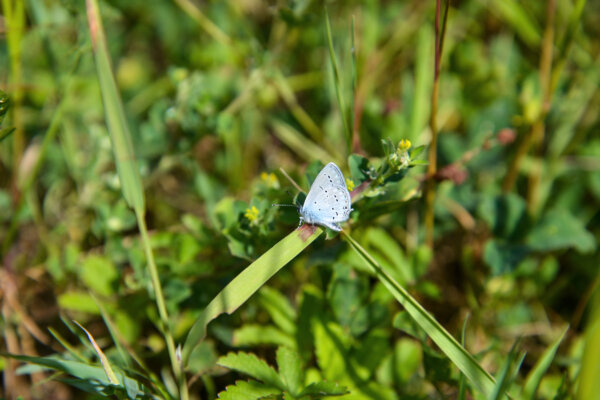 Kigro Zirkularitaet oekologische Aufwertung Intro
