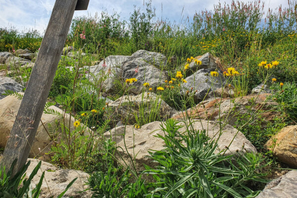 Kigro Verwertung Deponie 04